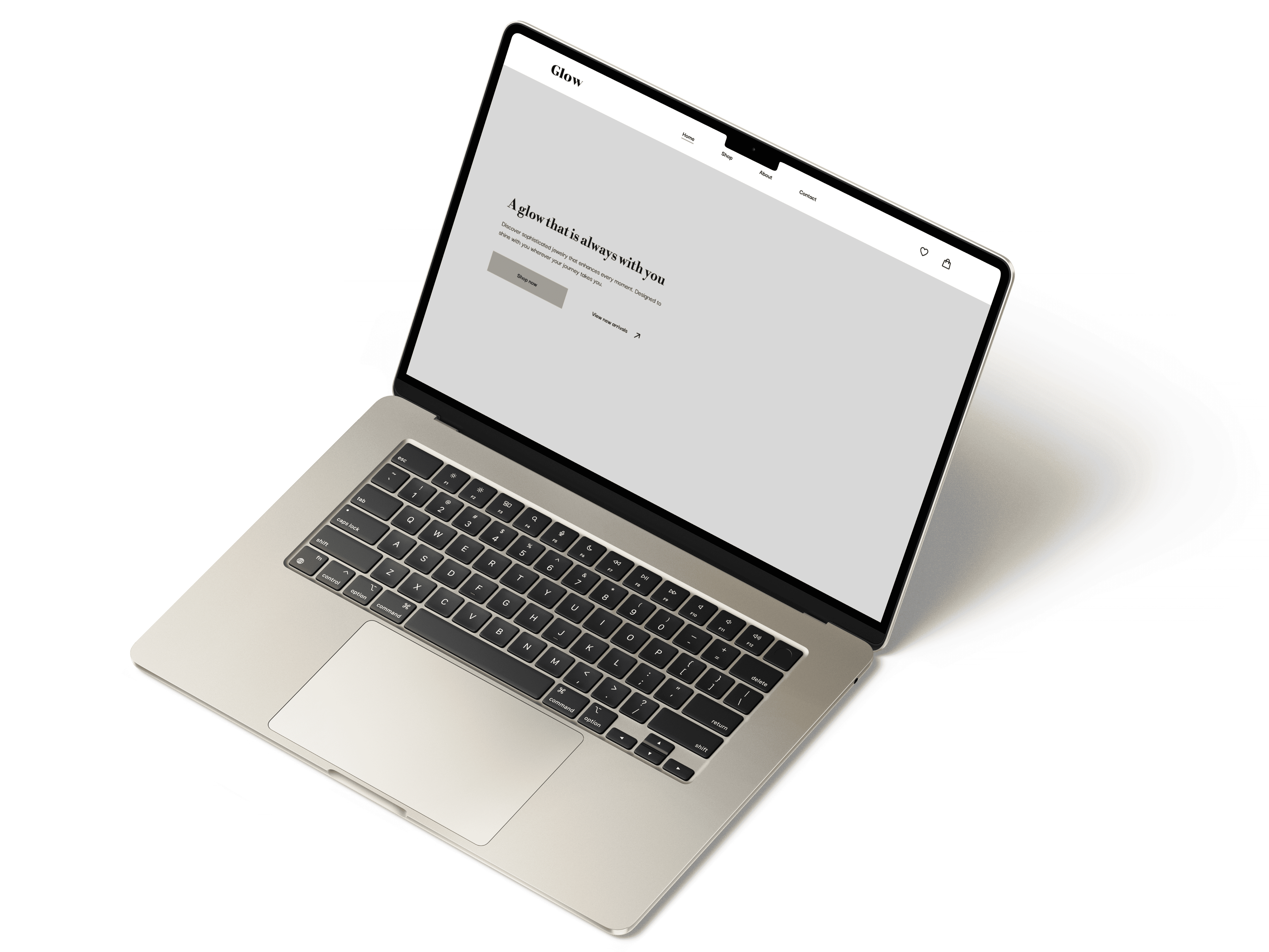 E-commerce website